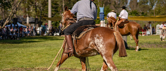 Sport of Argentine culture. Dressage of horses. Typical clothing of the gauchos. Gaucho culture.	Entre R&iacute;os, Argentina.