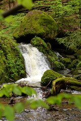 Kleiner Wasserfall im frühlingshaften Laubwald