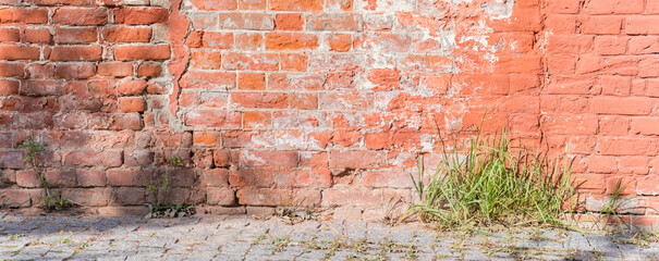 Panoramic scenery with old red brick wall and the shadows of the leaves