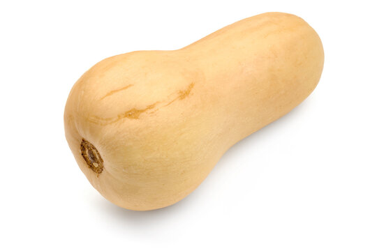 Butternut squash, isolated on white background. High resolution image.