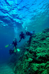 Diving Murcia