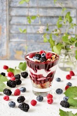 Berry smoothies with yoghurt, granola, chia seeds and fresh berries. Useful breakfast. Berries of blueberries and blackberries, and raspberry. place for a recipe