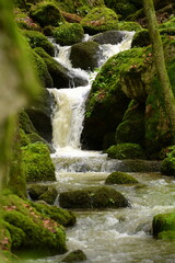 Fototapeta premium Kleiner Wasserfall im frühlingshaften Laubwald