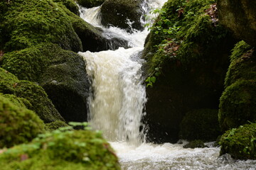 Kleiner Wasserfall im frühlingshaften Laubwald