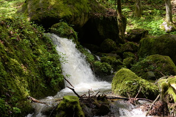 Naklejka na ściany i meble Kleiner Wasserfall im frühlingshaften Laubwald