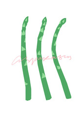 Asparagus bold shape illustration on the white background. Vegetable recipe