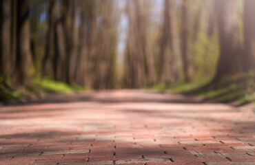 The pedestrian path in the city park is paved with tiles. Blurred background.