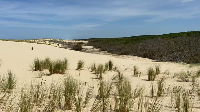 Dune de sable, plage de le Porge, Gironde