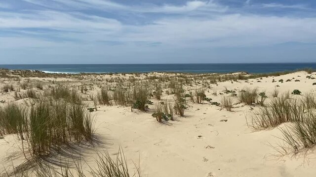 Dune de sable, plage de le Porge, Gironde