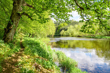 Footpath along the bank of the River Teviot in the Scottish Borders