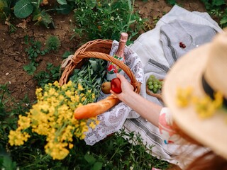 A summer picnic in a field of flowers. The girl taking the apple from the basket.