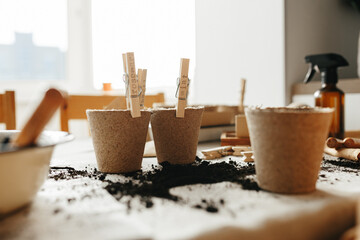 Seeds, peat pots, gardening tools on linen fabric background. Ready for plant