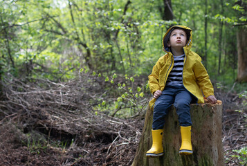 Little boy in a yellow jacket sits in the forest on a stump