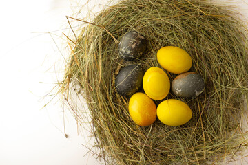 Easter eggs painted with natural dyes. Easter eggs in a nest made of straw top view. Left copy space. Easter card. Eggs speckled.