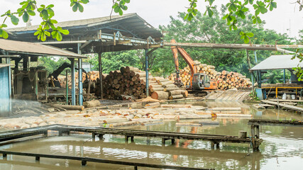 log of timber being processed as the raw material for plywood manufacture industry