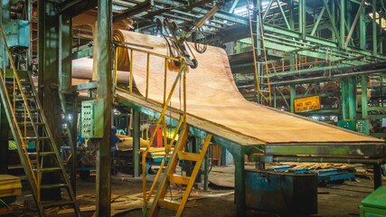 veneer being processed at plywood manufacture industry