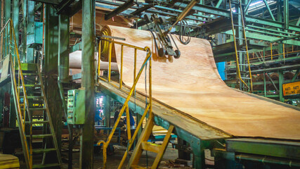 veneer being processed at plywood manufacture industry - obrazy, fototapety, plakaty