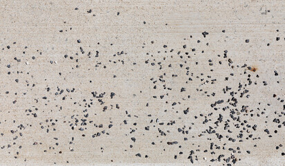 Texture of concrete in outdoor light