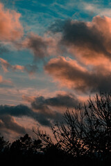 Fototapeta premium sunset in the sky