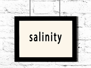 Black frame hanging on white brick wall with inscription salinity