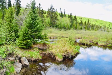 Lake Archambault in Mont-Tremblant provincial park