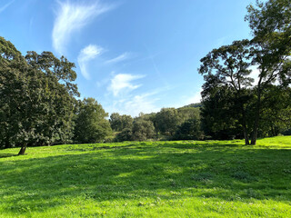 Rural scene, with a large meadow, and old trees, on a sunny day in, Esholt, Bradford, UK