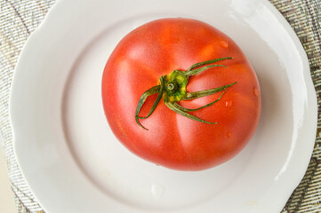 One whole fresh red tomato on a white plate, top view