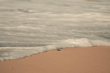 footprints on the beach