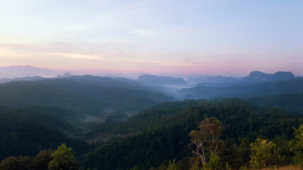 Naklejka premium Forest and mountains and fog