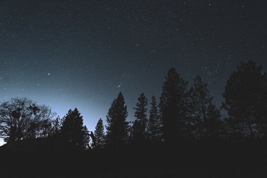 starry night sky © Andrew