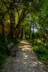 Fototapeta premium bench in the park