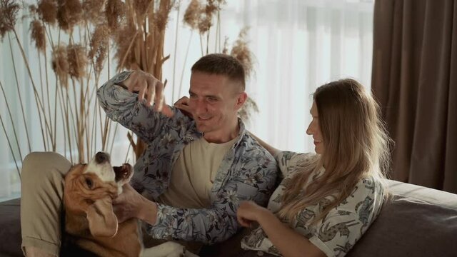 Catfight Bilder Durchsuchen 845 Archivfotos, und