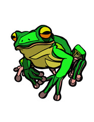 Green Tree Frog  Vector