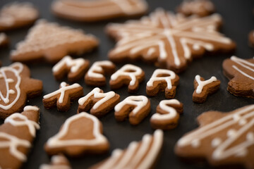 Merry Christmas Gingerbread Cookies