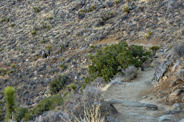 National Park Crew Works On Rocky Trail Maintenance