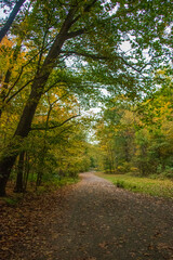 Fototapeta na wymiar Vibrant Fall Landscape