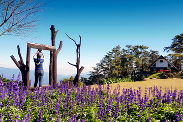Huai Nam Dang National Park ,flower and mountain