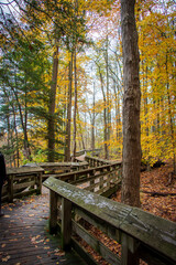 Fototapeta na wymiar Wooden path in autumn forest