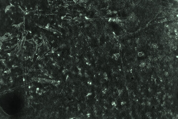 abstract black and light green colors background for design