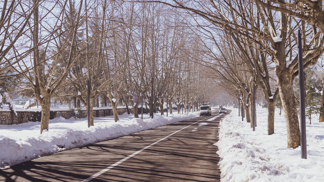 Ifrane houses and street , Ifrane , Morocoo