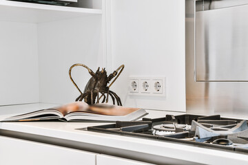 White kitchen counter with gas stove and opened book with metal figure of sea animal in apartment