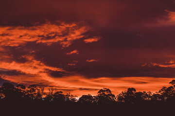 beautiful intense sunset sky with pink and golden tones over the mountains and eucalyptus gum trees