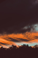 beautiful intense sunset sky with pink and golden tones over the mountains and eucalyptus gum trees