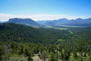 Lower elevation forest at Rocky Mountain National Park, Colorado, USA. 
