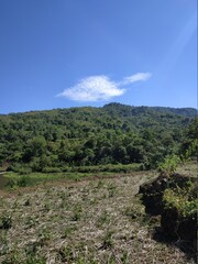 Naklejka premium landscape with blue sky and clouds