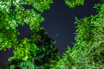 Starry night with clouds. Trimming of trees