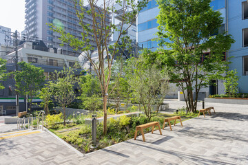 Fototapeta premium 北谷公園