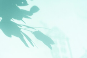 빈티지한 그림자 풍경