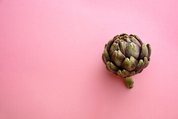 Fototapeta premium artichoke on a pink background