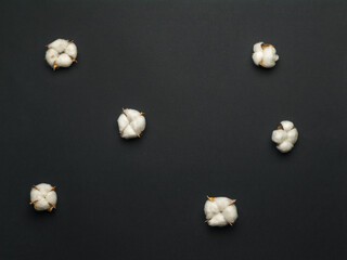 Cotton baskets on a dark black background.